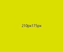 フリー項目３の画像３の説明